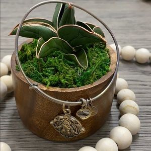 Alex and ani bracelet